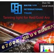 Mayin authorized SG seller-Local stock Mayin T5 6700k Tanning light +UV 3ft 4ft 5ft for red gold arowana submersible