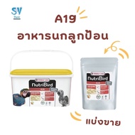 NutriBird A19 70 100 300g. For Sale: 70 100 300 Grams