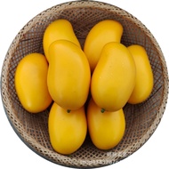 FR-16 Fake Fruit Mango 10*7.8cm.