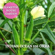 HSK [15pc] F1 HIBRID OKRA INDIAN OCEAN 535 SEED BIJI BENIH BENDI