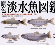 🈲 絕版珍藏 🈲 Yujin 原色淡水魚図鑑I [改訂版] 原色淡水魚圖鑑 I 改訂版 Part 1 (全4隻附單色石) 2006年