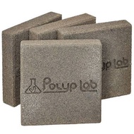 POLYPLAB GENESIS ROCK POWER PACK (4 Genesis Rock)