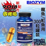 四月缺Y青島水族BC203美國BIOZYM百因美-國際版 多功能硝化益菌 硝化菌==龍魚/魟魚用-罐裝300粒
