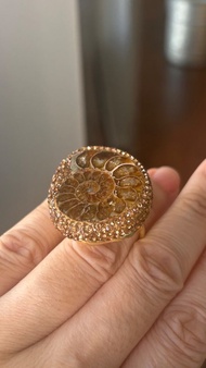 🧧加拿大 斑彩螺（Ammolite／斑彩螺）🍀開口介指 風水 招財富（李居明） 擋煞 黑髮晶 鈦 天鐵 橄欖石 藍寶石 舒俱徠 綠幽靈 發達 提升運氣 開口介指 觀音 李居明 具收藏價值與能量意義的寶