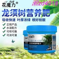 有機肥 花肥 開花肥 肥料 氮磷鉀 磷鉀肥 磷酸二氫鉀 龍須樹專用營養肥龍血樹龍須鐵朱盆栽盆景室內陽臺四季家庭通用肥