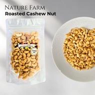 Nature Farm Premium Roasted Cashew Nut - Roasted Cashew Nut 100g Roasted Cashew Nuts Cashew Nut Roas