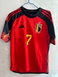 比利時世界盃2022大童164