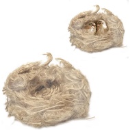 1.4 OZ/40g Bahan Sarang Burung, Bahan Sarang Burung Kolibri Campuran Semula Jadi, Bahan Sarang Burun