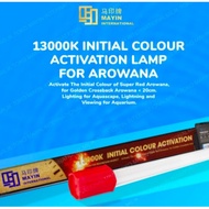 Submersible TANNING Lamp T5 MAYIN 13000K Aquarium Fish Arowana/Arowana