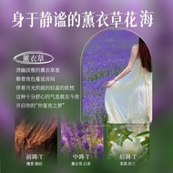 Artifact Make Sleep More Stable 1.23 More Lasting