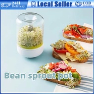 Countertop Sprouter Sprouts Growing Kit Reusable Household Kitchen Bean Sprout Seedling Box Seeds Cr