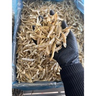 bilis kasar tanjung dawai