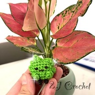 鉤織角落生物/雜草