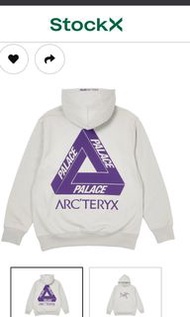 Palace Arc'teryx hoodie