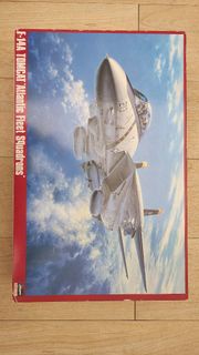 1／48 Hasegawa  F 14A 戰機 D
