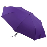 Fibrella Automatic Umbrella F00381 (Purple)-A