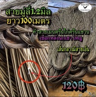 สายมู่ลี่ สายมู่ลี่1.2มิล สีน้ำตาล ยาว100เมตร สายมู่ลี่ทำสายเมนครืนไก่ สายเมนครืนครืนนก สายเมนครืนแขวน เชือกมู่ลี่ สายมู่ลี่ สายเมนทำครืน