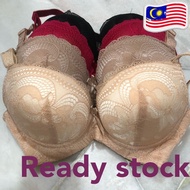 Bra Span Tebal/ Push Up Bra/ New Lace/Ready Stock in Malaysia