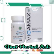 vigamax asli original capsul obat Besar panjang besar laki 100% ampuh