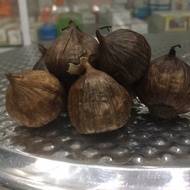 Black Garlic (Lonely Garlic 1 Branch)