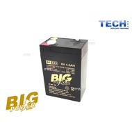 BIG POWER Battery 6V 4.5AH Rechargeable Sealed Lead Acid VRLA Battery for toys car light backup