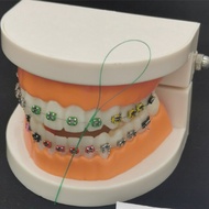 Dental New Oral Cleaning Durable Dental Floss Threader