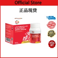 GKB Lactobacillus Plantarum GKM3 200MG Probiotic 减肥 祛脂益生菌 gkm3