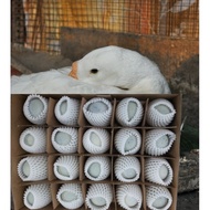 (Bundle Of 40,20) Preserved Century Egg Century Egg Duck Egg 皮蛋  HALAL Egg Duck Century Preserved