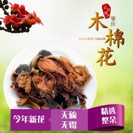 【现货 Ready Stock】木棉花 Bombax ceiba 100g +-
