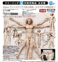 全新Figma 维特鲁威人 人体模型 可动人偶Sp-075