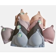 Elena Thin Foam Bra Without Wire 22016 Size 36B-42B Bra Wireless Bra