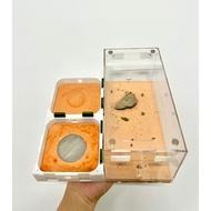 [MD02] Modun 3D Infinity Ant Raising Tank/ Ant Nurturing Tank/ Ant Tank/ Ant Raising Box/ Lying Tank