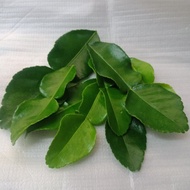 [Ready Stcok] Daun Limau Purut Segar//Fresh Kaffir Lime Leaves Terus Dari Pokok 100g