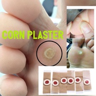 CORN PLASTER REMOVER 6Pcs Corn plaster remover pelekat hilangkan ketuat penghilang ketuat rawat ketu