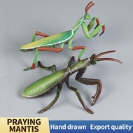 Simulated Insect Model Animal Praying Mantis Insect Toys Action Figures Decoration Collection Educat