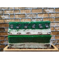 Kek Lapis Evergreen Cheese Cadbury (Loaf)