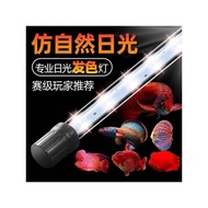 Jinsheng Highlight Smart Dedicated Arhat Parrot Red Arowana LED Fish Tank Waterproof Light Four-Base