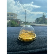 bunga sulung emas bulu perindu asli RARE