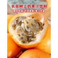 🍊5/10 Biji Benih🍊Ecuador Orange Passion Fruit Markisa 哥伦比亚百香果种子