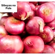 ▆ ◇ ☤ ▲ RED ONION/Sibuyas na Pula/Pulang Sibuyas250 grams,500grams,1 kilo Fresh Gulay (SHIP OUT AGA