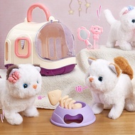 Toys Pet Care Toys, Teddy Rabbit Cage, Teddy Cat Cage, Teddy Dog Cage To Walk, Cry, With Accessories For Baby