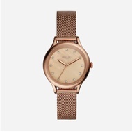 Fossil Women's Laney Three-Hand watch in multiple colours
