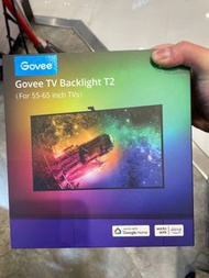 ☑️現貨供應☑️ Govee T2 Envisual 電視背光燈帶 (55-65吋電視適用)