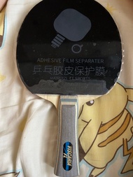 乒乓球拍Butterfly Viscaria自行出價