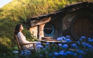 Auckland Hobbiton & Waitomo Glowworm Caves Day Tour