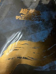 遊戲王 浮世繪25週年紀念卡冊 全新