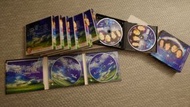 流星花園 VCD 套裝