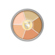 💯韓國代購   KRYOLAN CONCEALER 德國歌劇魅影面具6⃣色遮瑕盤 40g #NO.6 correction ， #NO.1