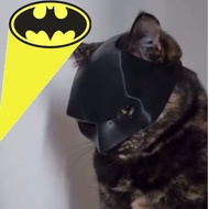 BATMAN Cat Mask Batman Cat Mask