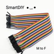 Jumper Wire for Arduino IoT Male to Female, Length 20cm